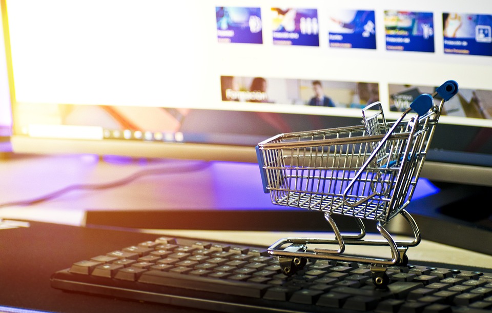 The Journey to Building a Successful E-commerce Business: A Success Story